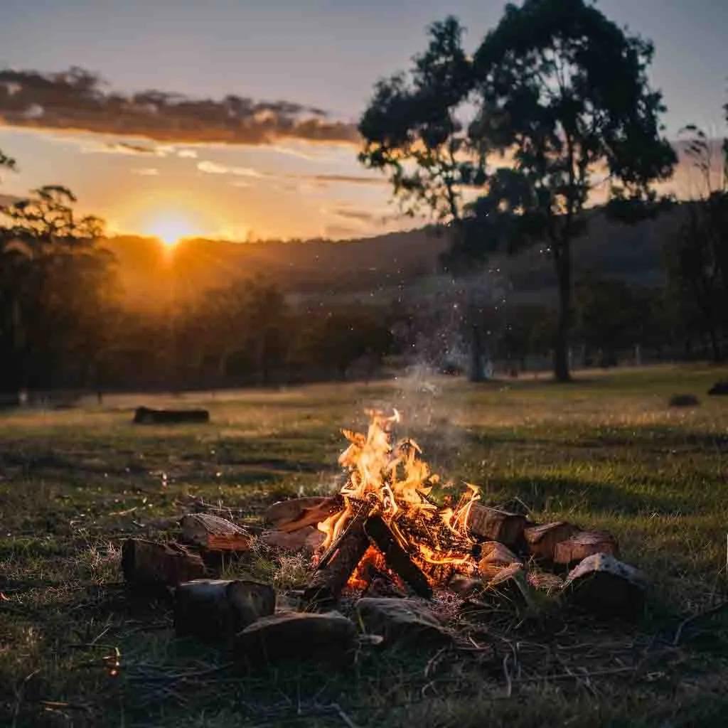 557423676_25129763433283643_5053799932243380473_n